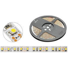 GTV LED - стрічка без силікону, холодний білий, 120 діодів / м - 9,6 Вт (Китай)