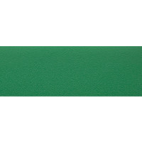 Кромка с клеем PVC 22х0,6  Зеленый 208 Maag